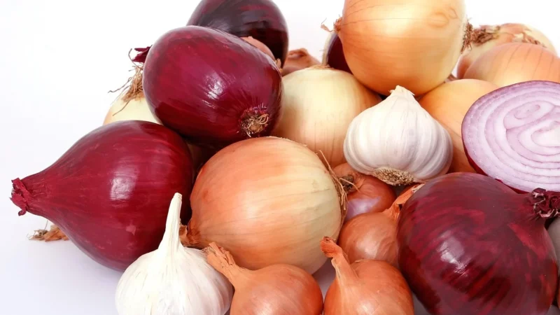Rafex Cebula suszona mielona 1kg