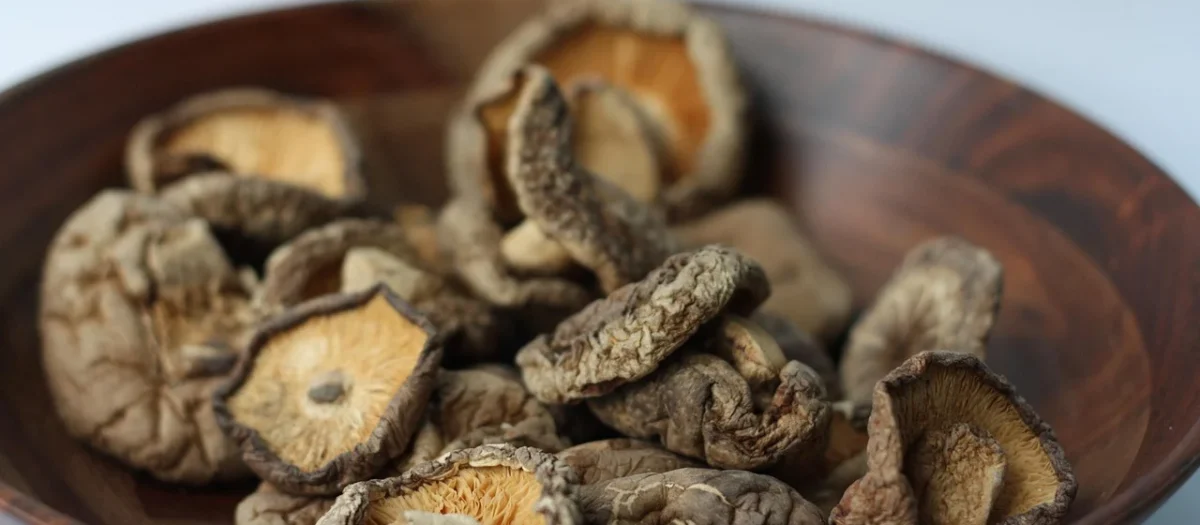 Rafex Czereśnia suszona bez chemi 100g