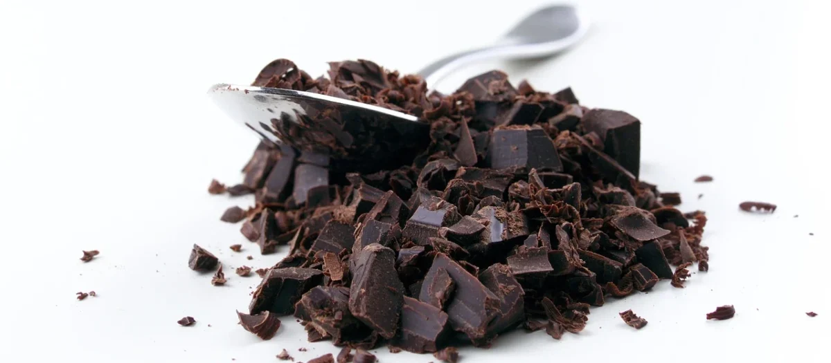 Rafex Kokosowe wiórki 100g