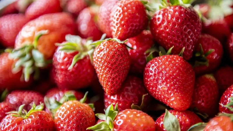 Rafex Truskawka suszona owoc cały 100g