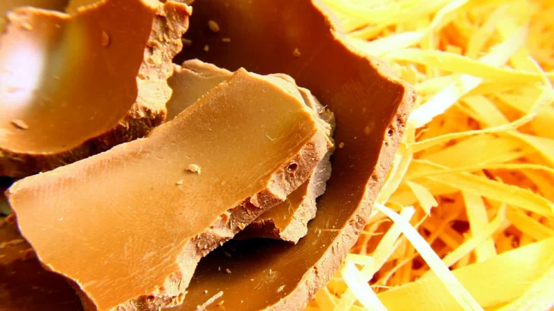 Rapunzel CZEKOLADA MLECZNA Z ORZECHAMI LASKOWYMI BIO 300g
