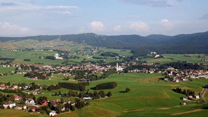 Rigoni Di Asiago Konfitura Z Owoców Leśnych Fiordifrutta Frutti Di Bosco Bez Dodatku Cukru Bio 250g –