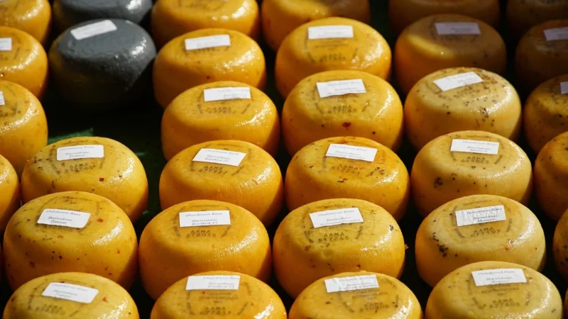 SER GOUDA BIO (55 % TŁUSZCZU W SUCHEJ MASIE) (około 2,5 kg) – OMA