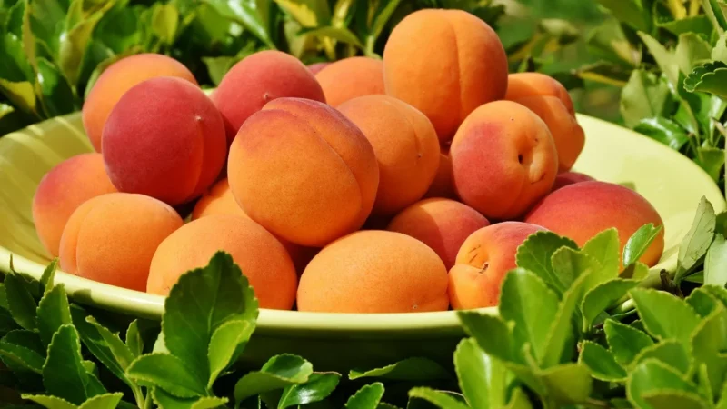 Simpatiko S.C. 4 x Płatki Z Teff Bezglutenowe 350g Simpatiko