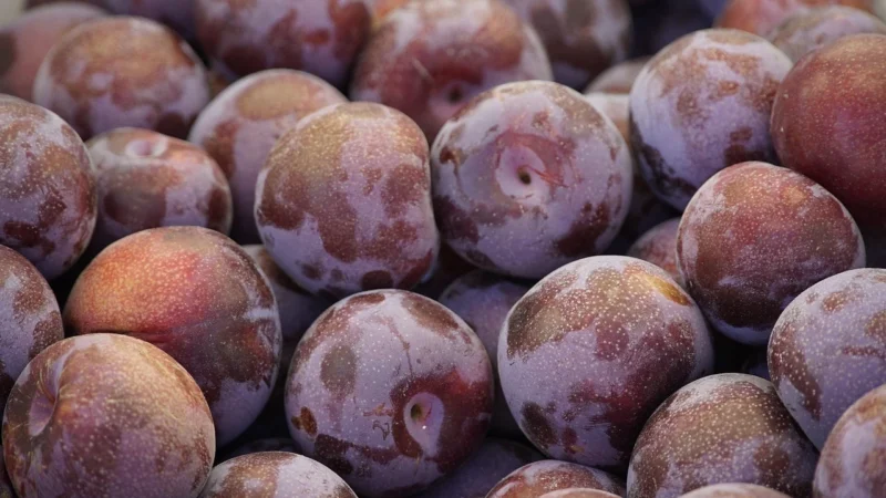 Śliwki kalifornijskie bez pestek Bio Bio Planet 10
