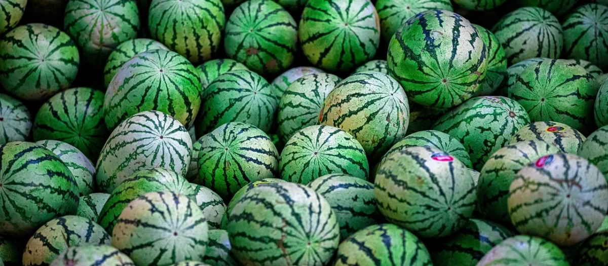 Sonrisa Melon Kandyzowany Smak Białe Winogrona 1kg