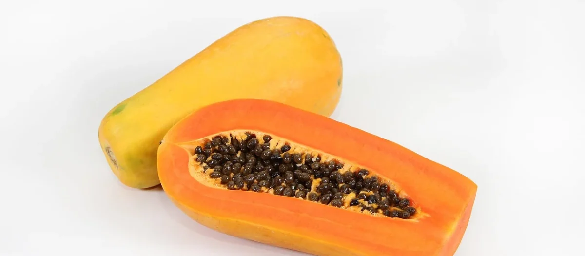 Sonrisa Papaja Kandyzowana Kostka 100g