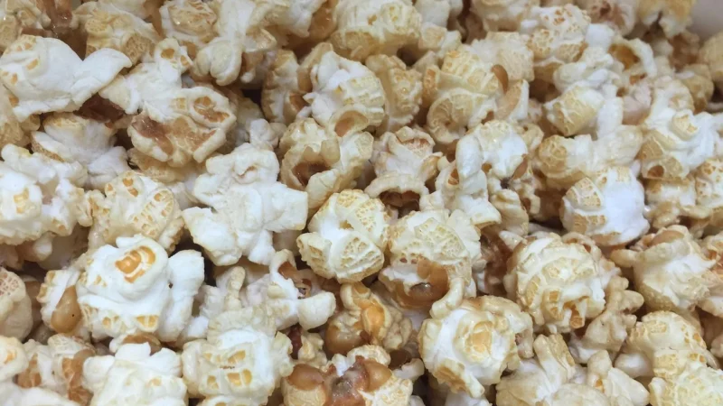 Soti Natural Popcorn Tea Herbata Kukurydziana 340Ml