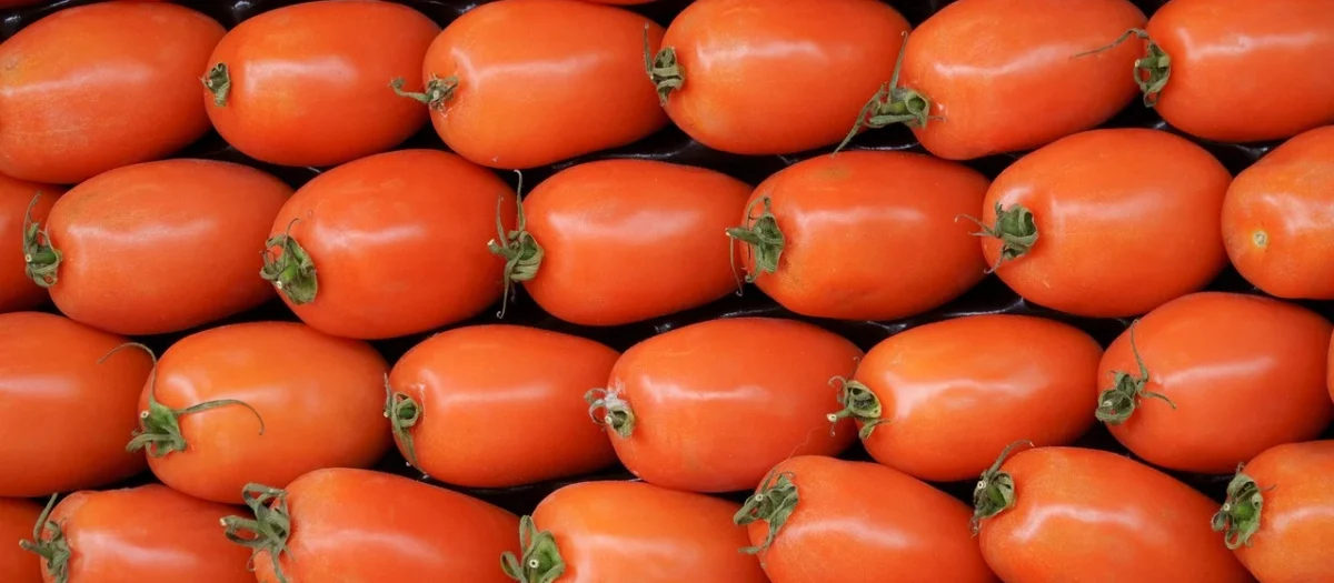 Star Pummarò Passata Corposa przecier pomidorowy