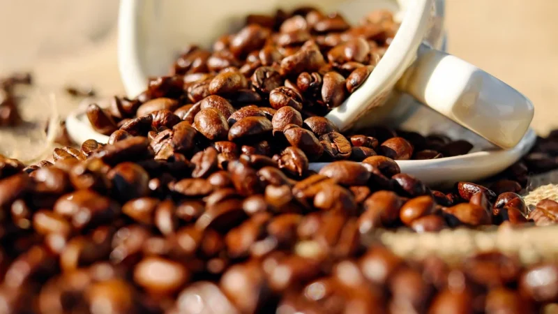Starbucks Kawa Ziarnista Kenya 250g