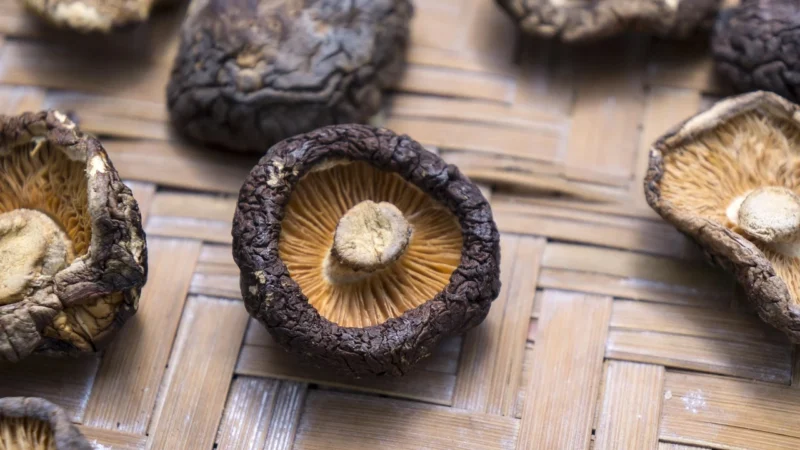 Świeże Grzyby Shiitake Świeże Bio Tacka Około 0,20Kg