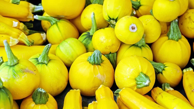 Świeże Opakowanie Zbiorcze (Kg) – Cebula Żółta Bio (Polska) (Około 5 Kg)