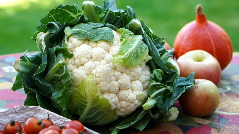 Świeże (Owoce, Warzywa, Grzyby) – Tacki I Sztuki Klementynki Świeże Bio (Około 1,00kg)