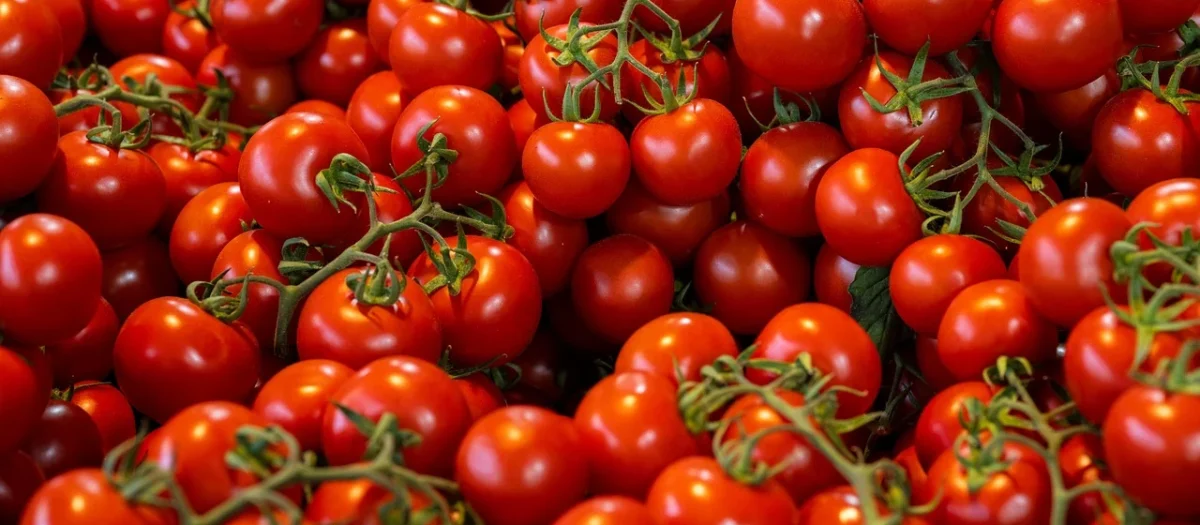 Świeże Pomidory Cherry Bio Około 0,25 Kg