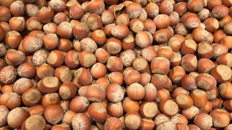 Swojska Piwniczka – Pistacje Surowe Zielone Bez Dodatku Soli 500G