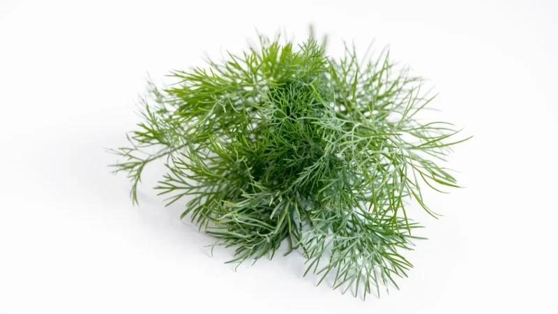 Ten Smak Czubrica Zielona 20g