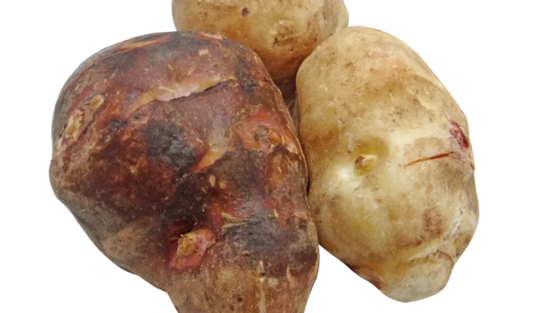 Tivo Topinambur 100G
