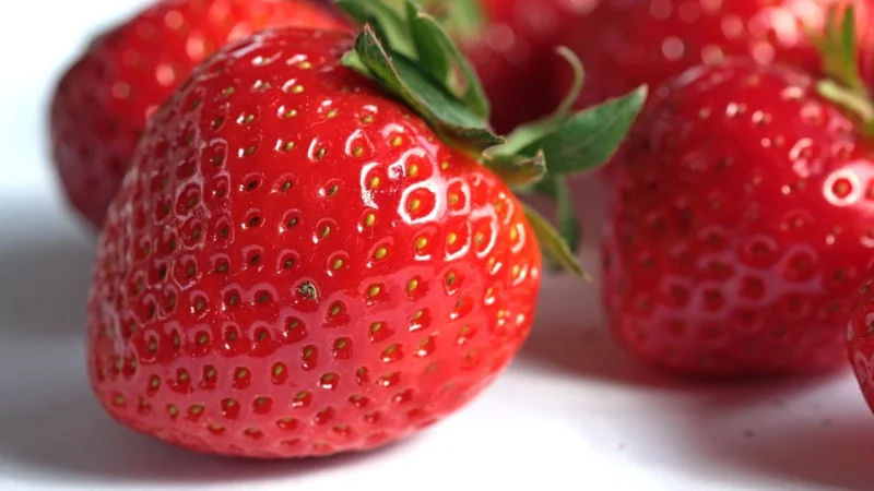 Vegablum Słodzidło Wegańskie Ze Stokrotką 225g Bio