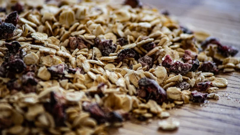 Verival Owsianka z Jagodami i Jabłkiem 350g