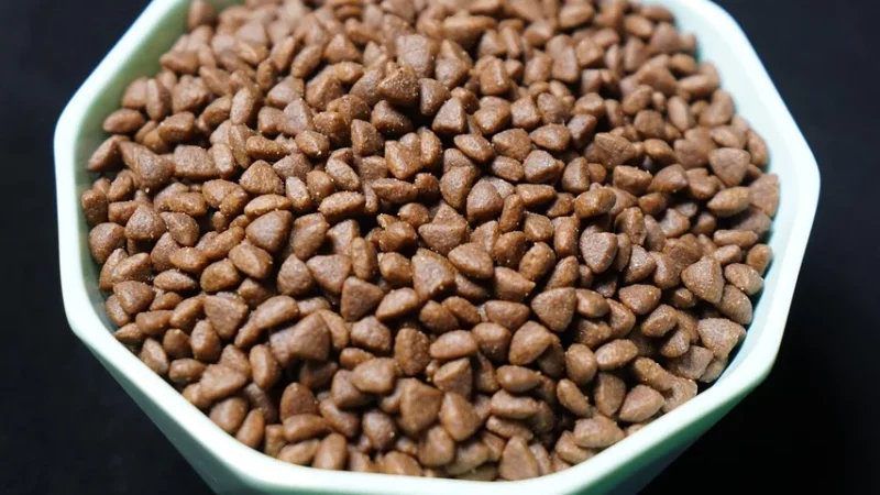 Vet Expert Veterinary Diet Dog Dermatosis Rabbit&Potato Królik Ziemniak 12kg