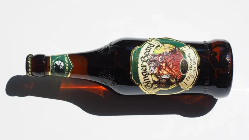 Vigo Kombucha Kurkuma + Imbir 330ml Bio