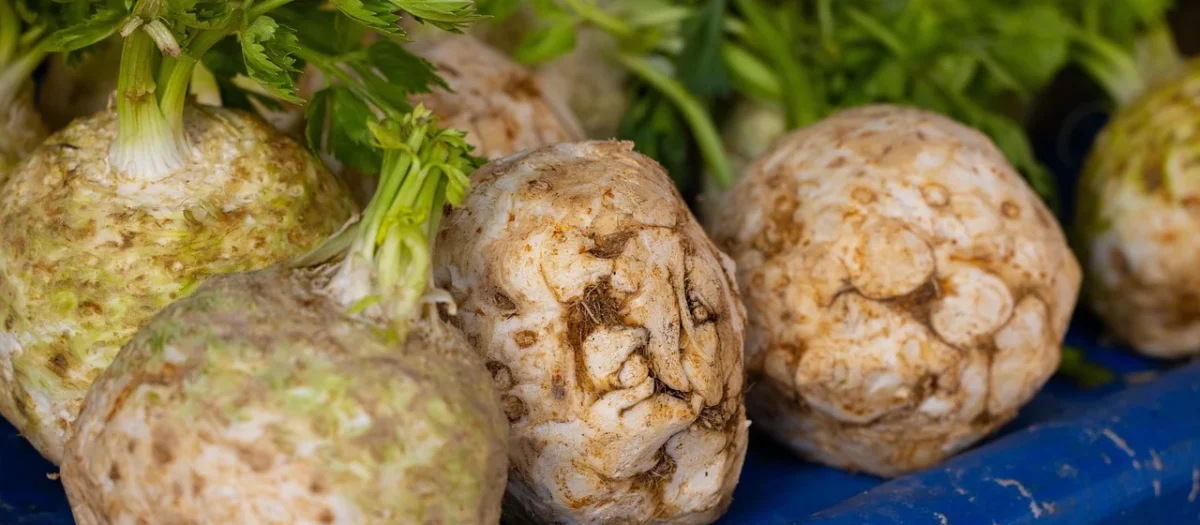 Warzywa I Owoce Opakowanie Zbiorcze Kg – Seler Świeży Bio Około 10kg