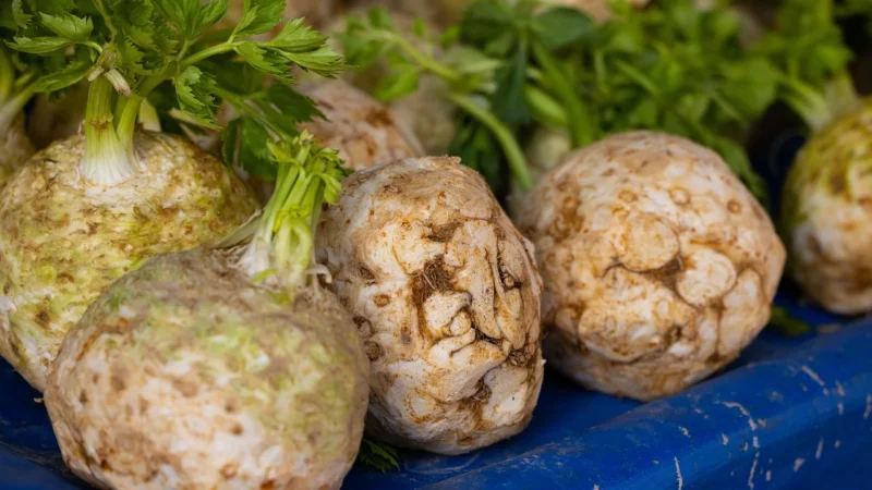 Warzywa I Owoce Opakowanie Zbiorcze Kg – Seler Świeży Bio Około 10kg