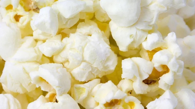 Winoszarnia Popcorn Kukurydza 5kg