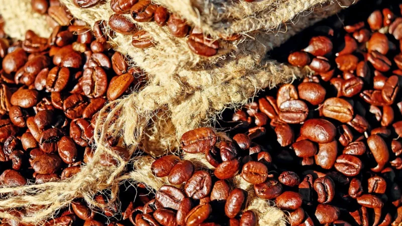 Woseba Kawa Ziarnista Organic Bio 100 % Arabica 500G