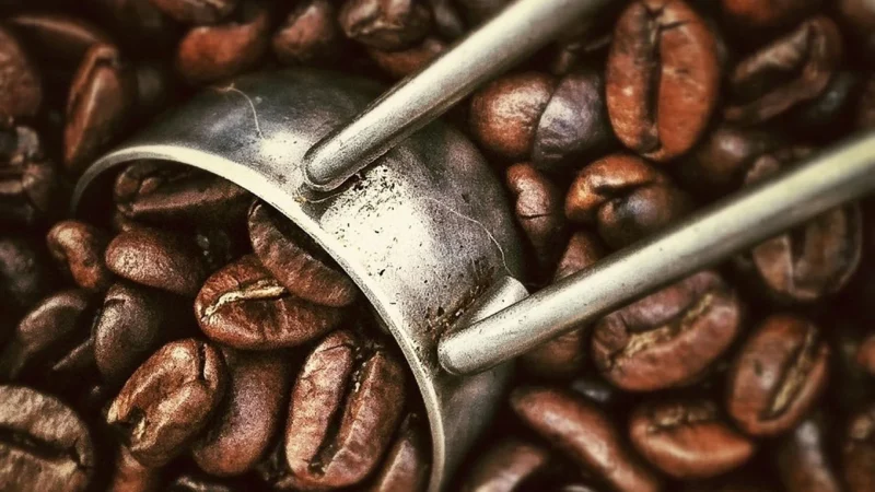 Wysocki Coffee Brazylia Sul De Minas Kawa ziarnista 250g