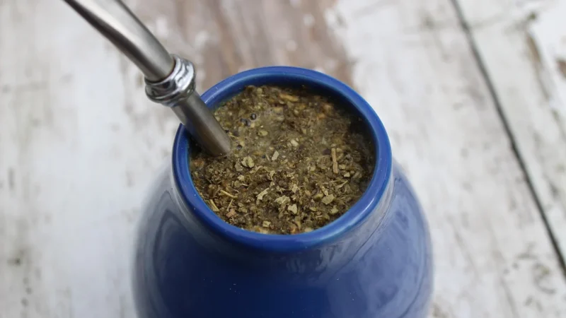 YERBA MATE BIO 50 g – DARY NATURY