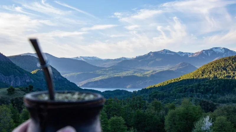 Yerba Mate Pajarito Hierbas 250g Ziołowa