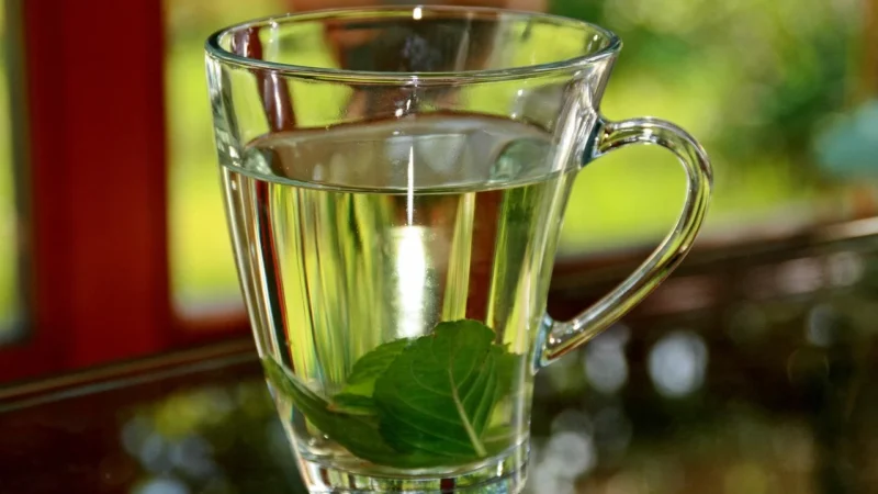 Yogi Tea Herbatka Dla Zmysłów Świeżość Z Olejkiem Miętowym