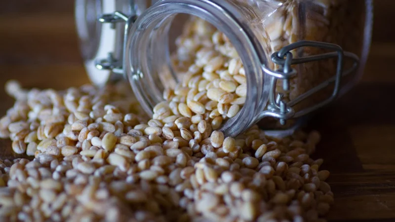 Zagler Muslibär Ekologiczne Musli Orkiszowe Z Miodem Dzika Hilde 500g
