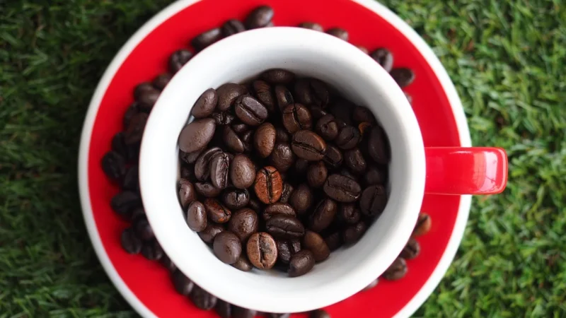 Zestaw kaw ziarnistych Caffe Grano Omniroast 4x250g
