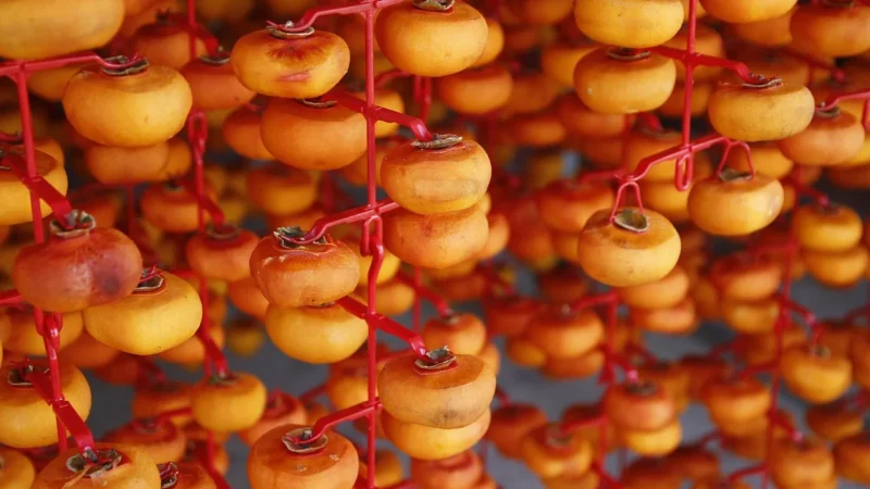 Żurawina suszona cięta świeża smaczna Foods