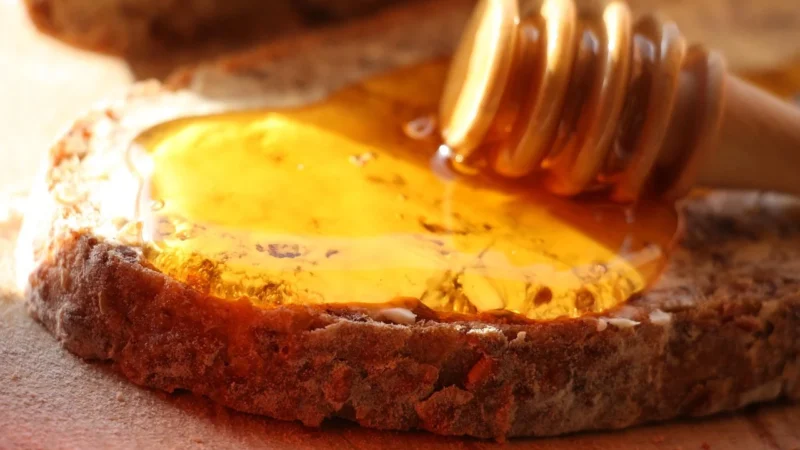 Zwergenwiese Bio Pasta Brotzeit Czas Na Przerwę