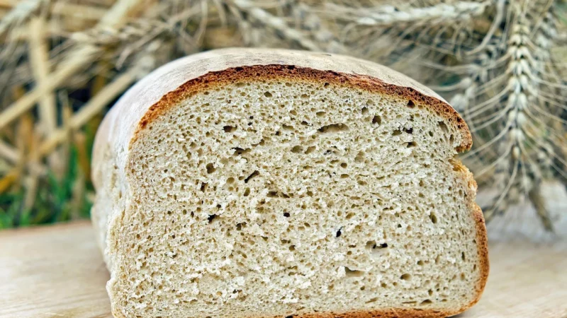 Zwergenwiese Bio Pasta Do Chleba Sendi